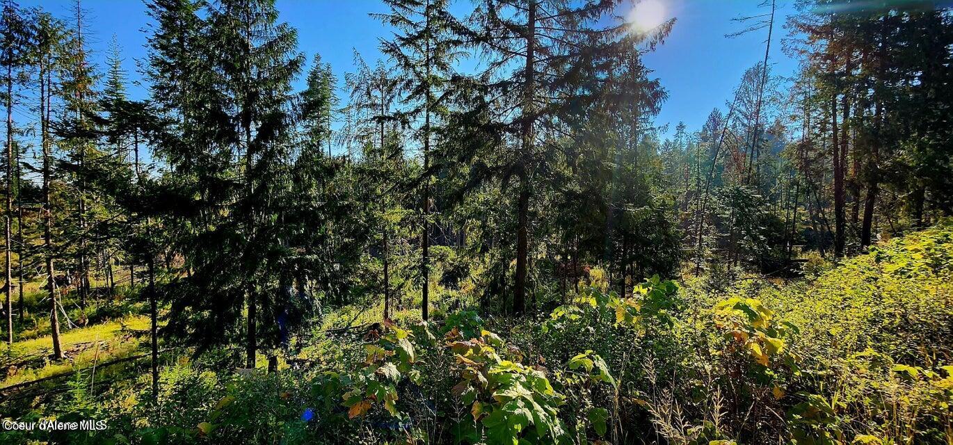 1530 Dusty Lane St. Maries, ID 83861 - Photo 4 of 21 D4