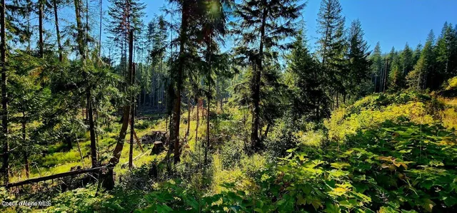 $140,000 | 1530 Dusty Lane, St. Maries, ID 83861