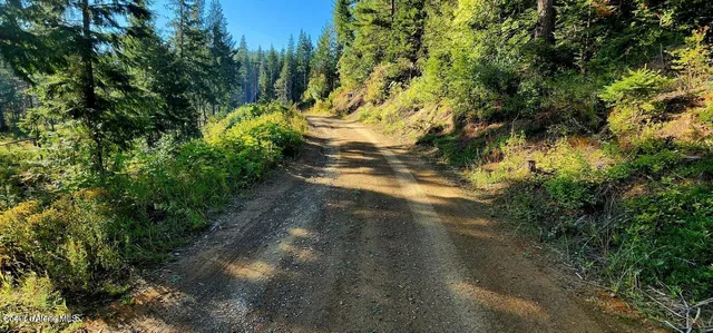 $140,000 | 1530 Dusty Lane, St. Maries, ID 83861