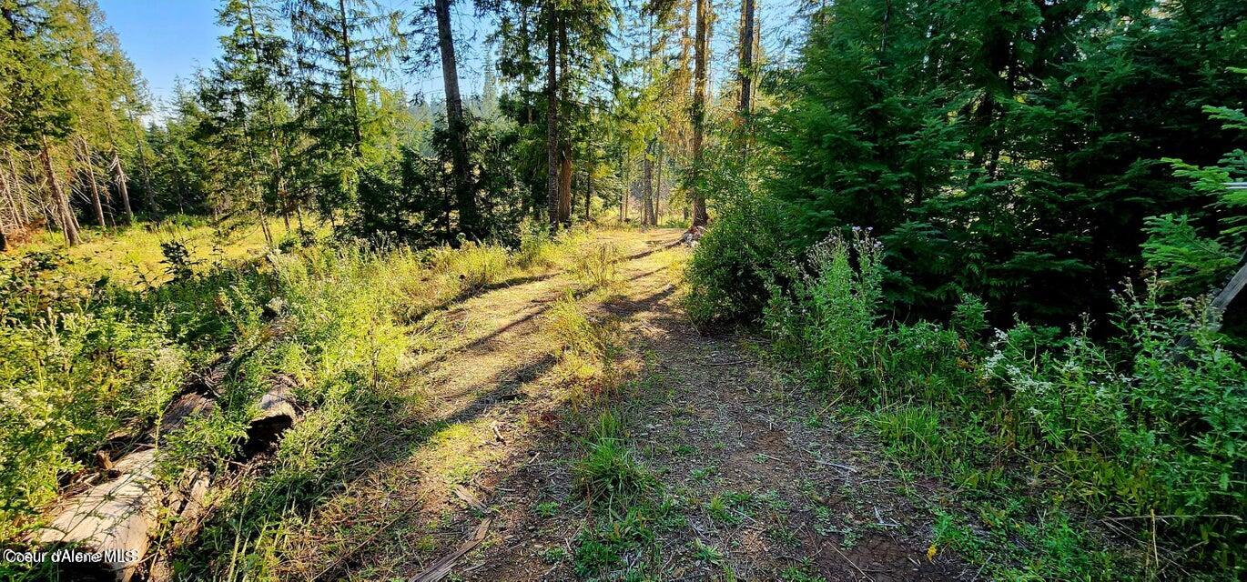 1530 Dusty Lane St. Maries, ID 83861 - Photo 7 of 21 D7