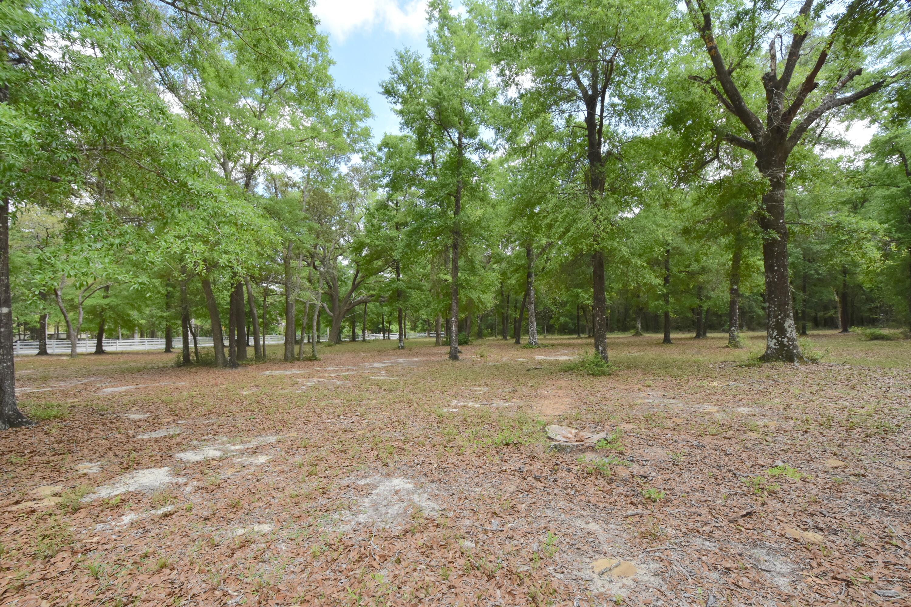 4497 Wilkerson Bluff Road Holt, FL 32564 - Photo 54 of 65 54 4497 Wilkerson Bluff Rd
