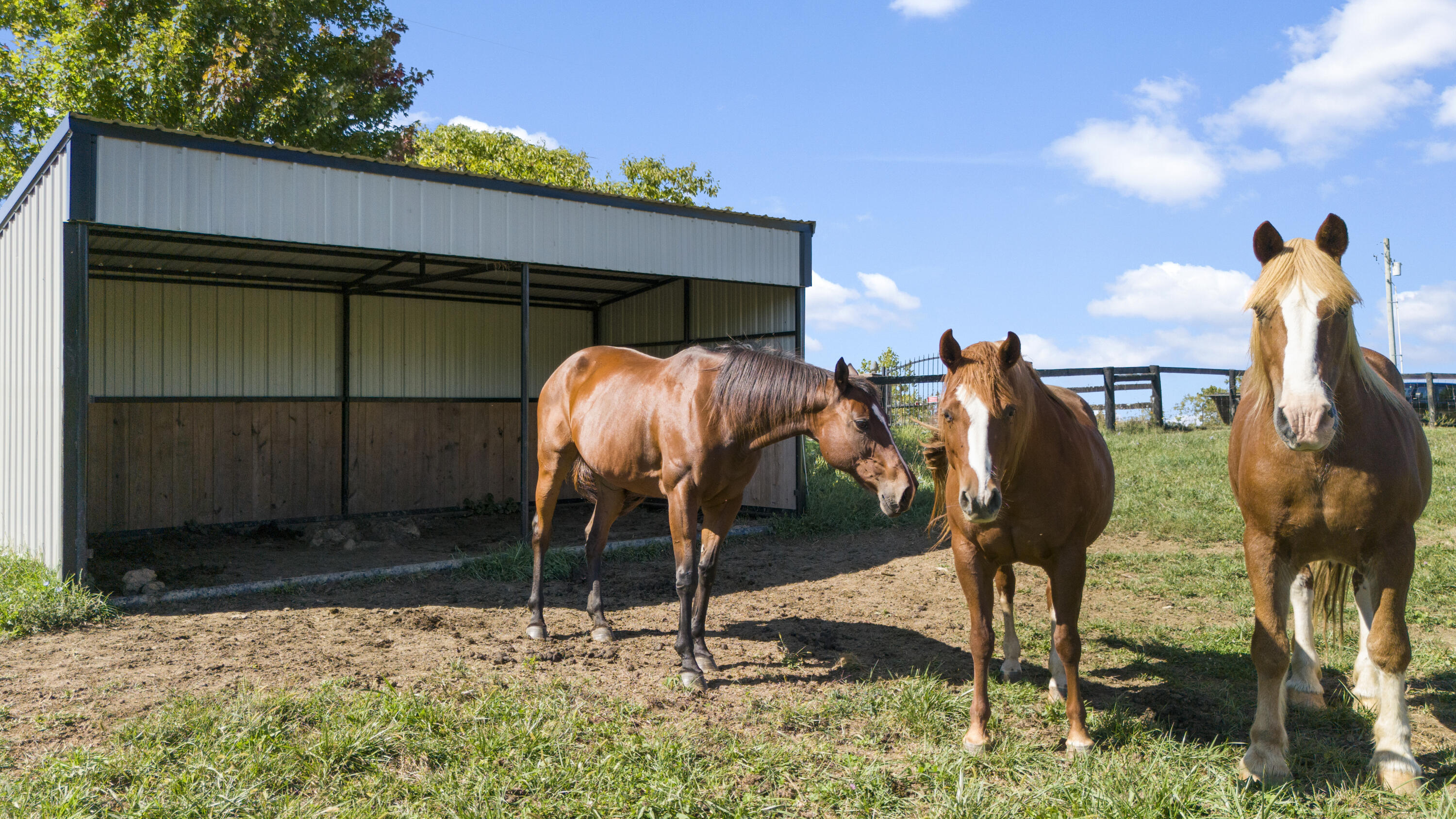 788 Locust Fork Road Stamping Ground, KY 40379 - Photo 24 of 73 DJI_20240918112205_0052_D