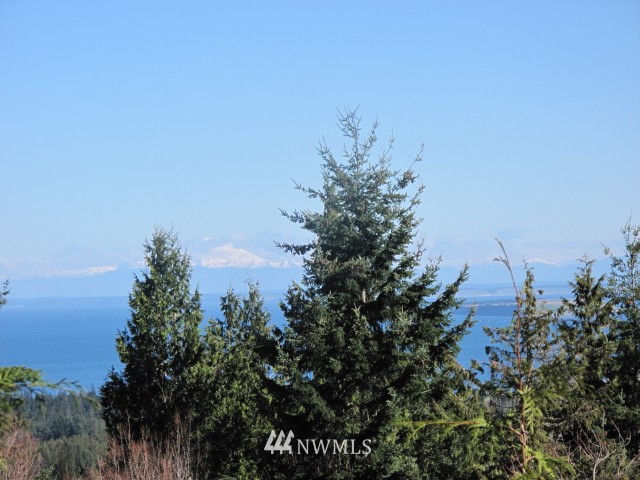 9999 Tamerlane Loop, Unit 44 Sequim, WA 98382 - Photo 5 of 25