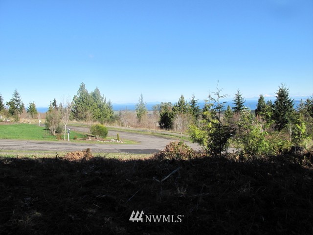 9999 Tamerlane Loop, Unit 44 Sequim, WA 98382 - Photo 8 of 25