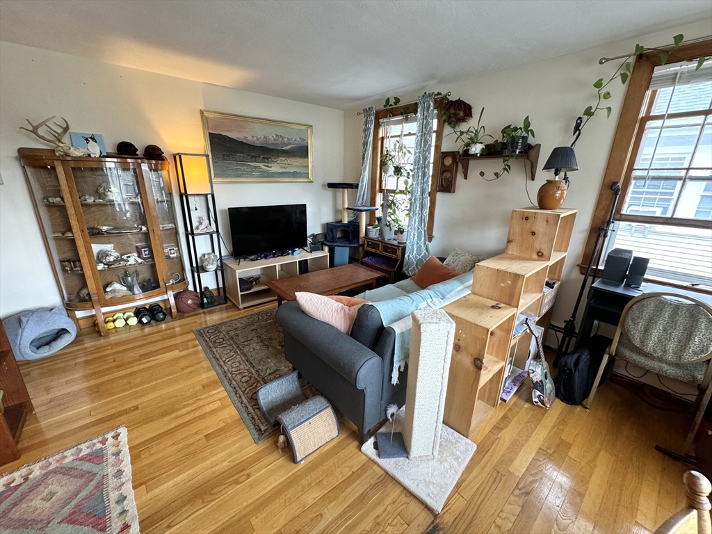 56 Nathan Road, Unit 1 Waltham, MA 02453 - Photo 6 of 15 Gallery Image 6