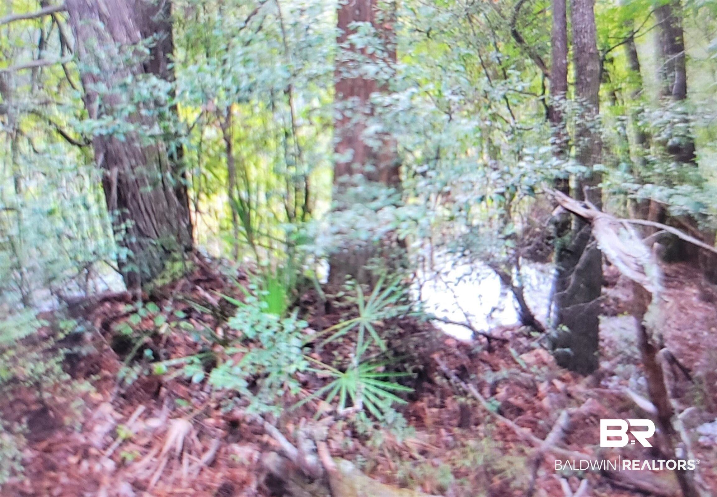 0 Juniper Road Seminole, AL 36574 - Photo 20 of 26