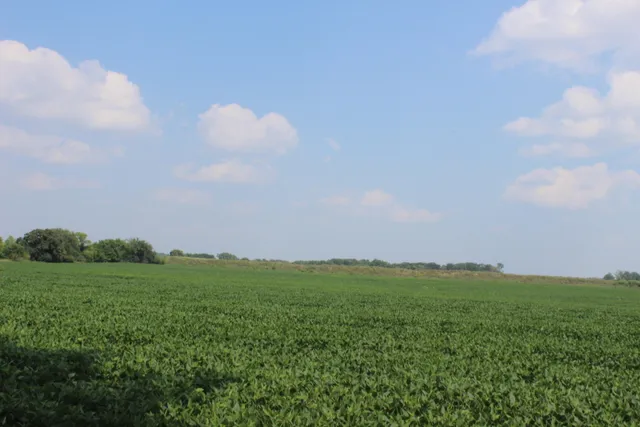 $975,000 | Lt1 County Road East, North Prairie, WI 53153