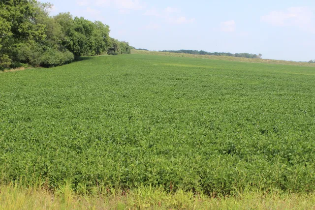 $975,000 | Lt1 County Road East, North Prairie, WI 53153