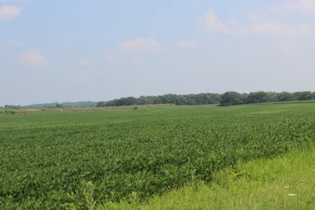 $975,000 | Lt1 County Road East, North Prairie, WI 53153