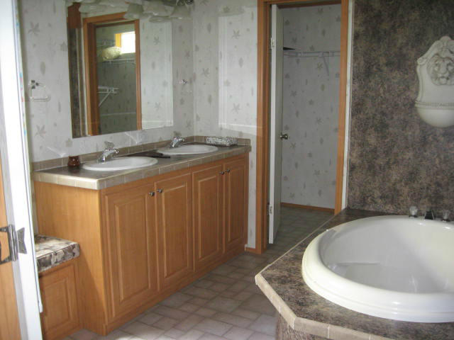 261 Munsons Road Penhook, VA 24137 - Photo 11 of 29 a bathroom with a granite countertop sink and a mirror