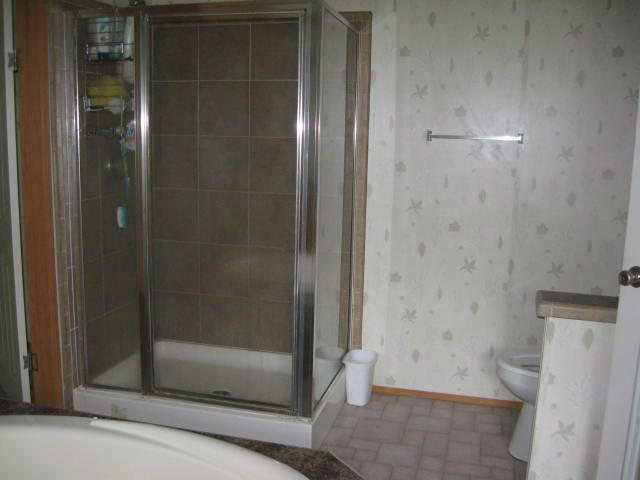 261 Munsons Road Penhook, VA 24137 - Photo 12 of 29 a bathroom with a shower and toilet