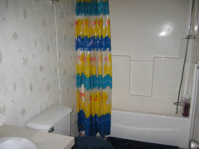 261 Munsons Road Penhook, VA 24137 - Photo 20 of 29 a bathroom with a bathtub and a shower