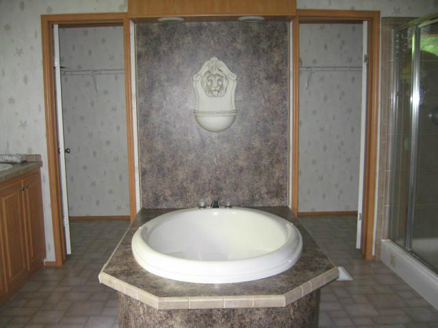 261 Munsons Road Penhook, VA 24137 - Photo 10 of 29 a view of a bathroom with a sink and mirror