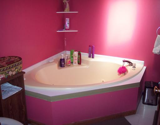 4639 Chapman Road Stockbridge, MI 49285 - Photo 8 of 22 Photo 8