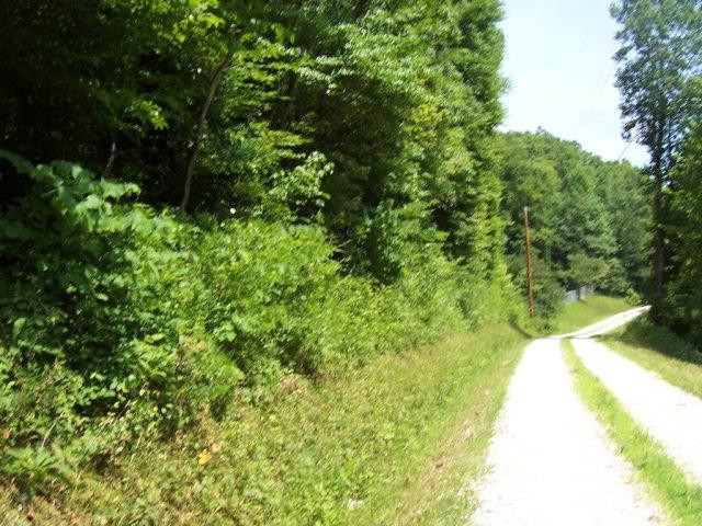 0 Fox Hollow Road Booneville, KY 41314 - Photo 4 of 20 Photo 4