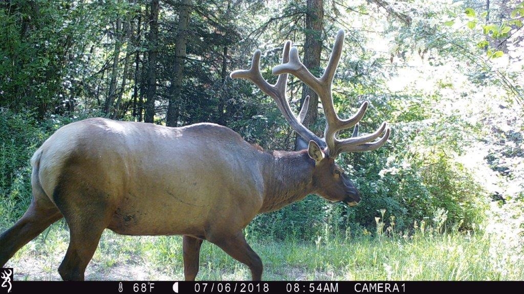 3-xxx Beitey Road Valley, WA 99181 - Photo 2 of 30