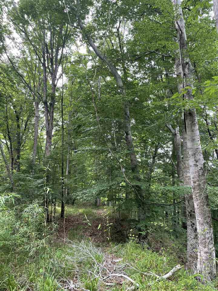 0 Thornton Road Lexington, MS 39095 - Photo 12 of 17 Photo 12