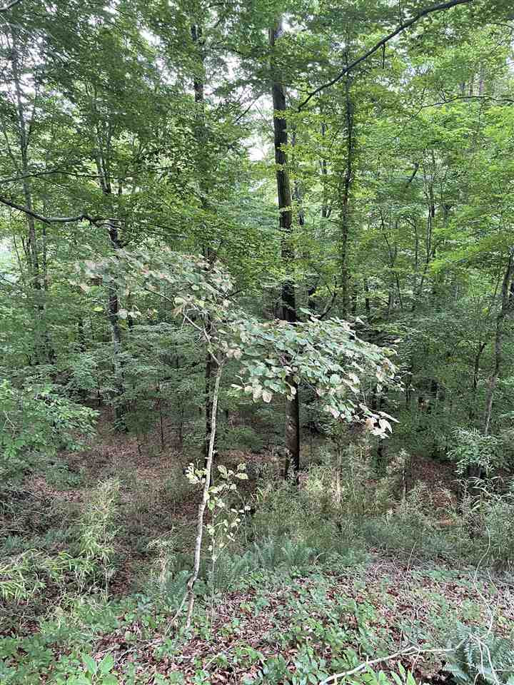 0 Thornton Road Lexington, MS 39095 - Photo 13 of 17 Photo 13