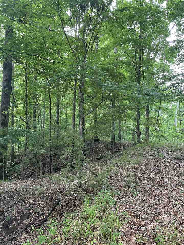 0 Thornton Road Lexington, MS 39095 - Photo 14 of 17 Photo 14