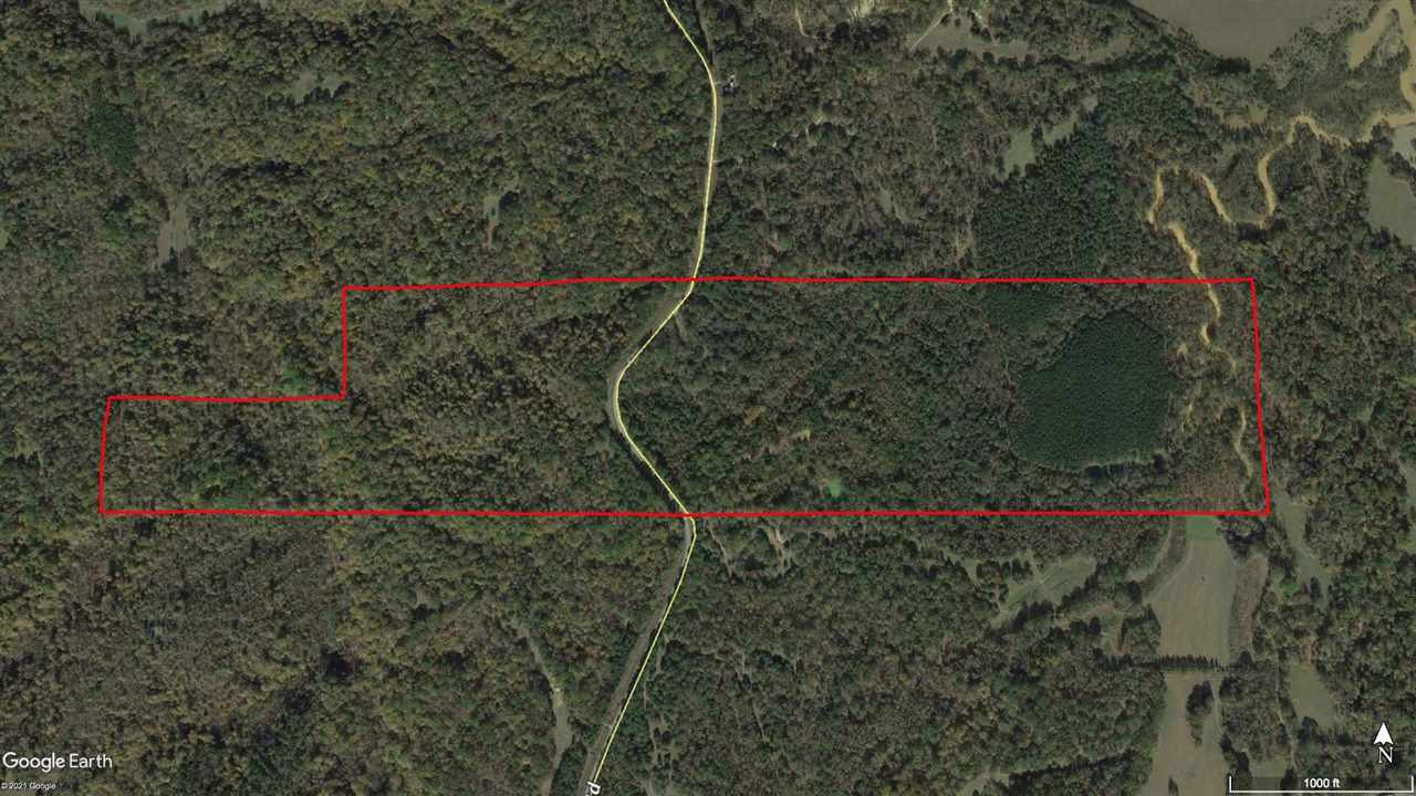 0 Thornton Road Lexington, MS 39095 - Photo 16 of 17 Photo 16