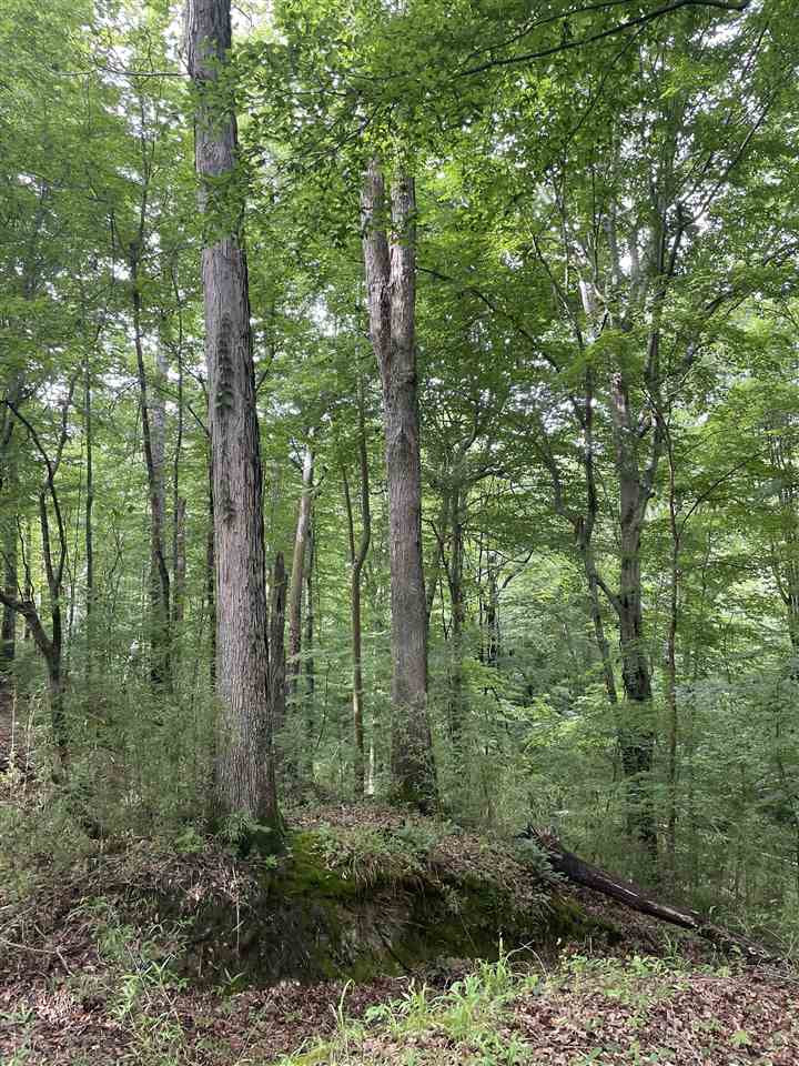 0 Thornton Road Lexington, MS 39095 - Photo 10 of 17 Photo 10