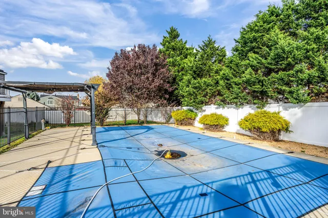 a view of a backyard with a garden and plants
