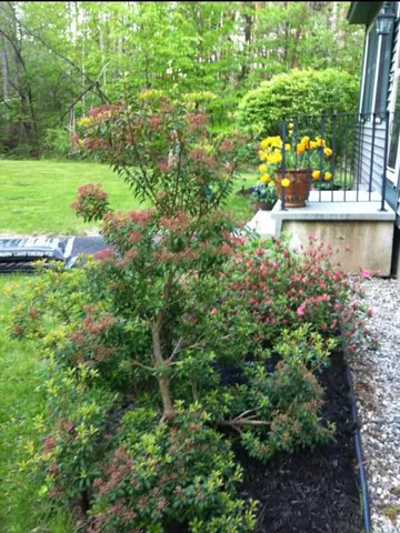 $535,000 | 9 Woodcock Drive, Gray, ME 04039