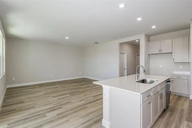a kitchen that has a sink in it and wooden floors