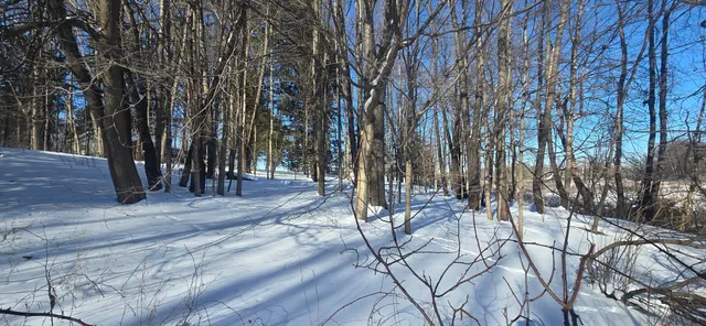 $289,900 | 11575 Floria Road, Delton, MI 49046