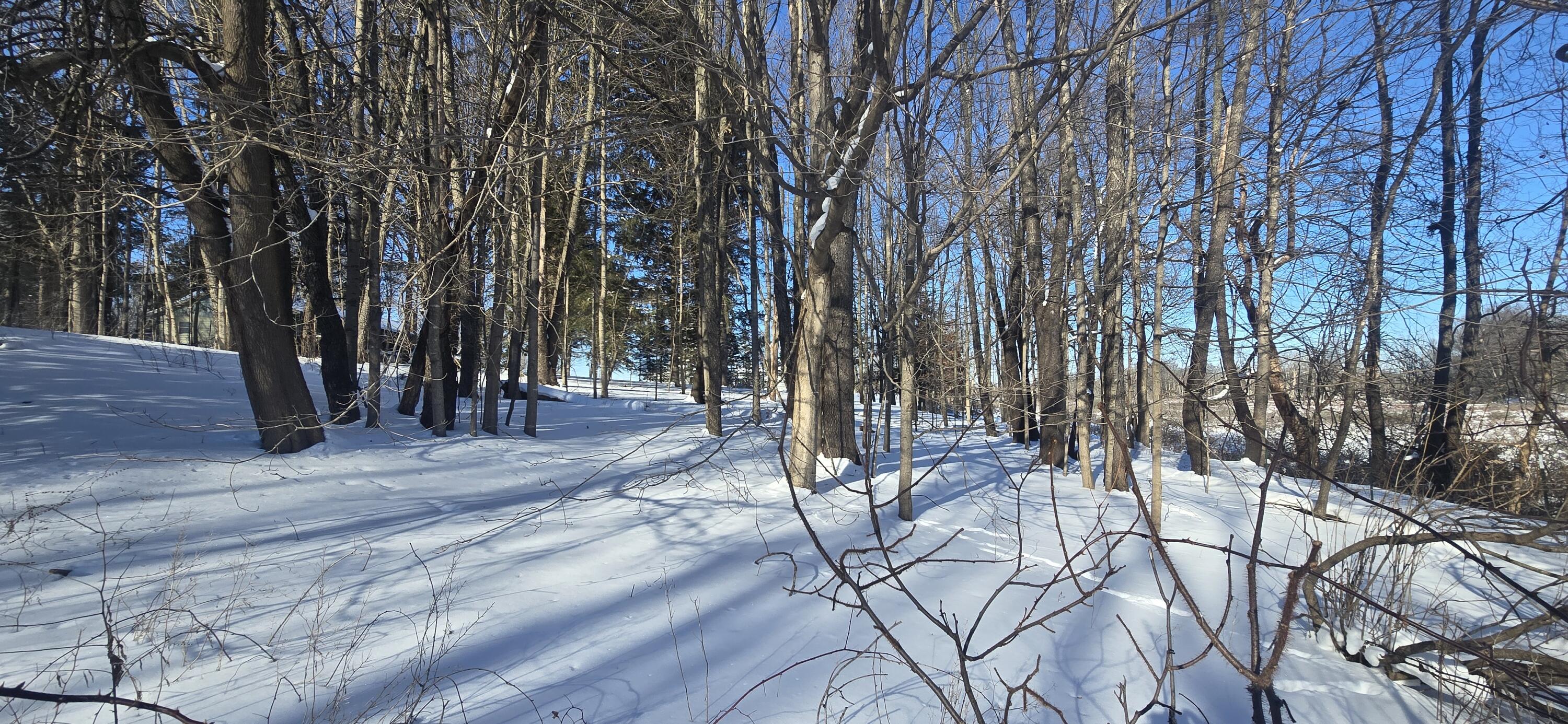 11575 Floria Road Delton, MI 49046 - Photo 9 of 9 20260201_151245