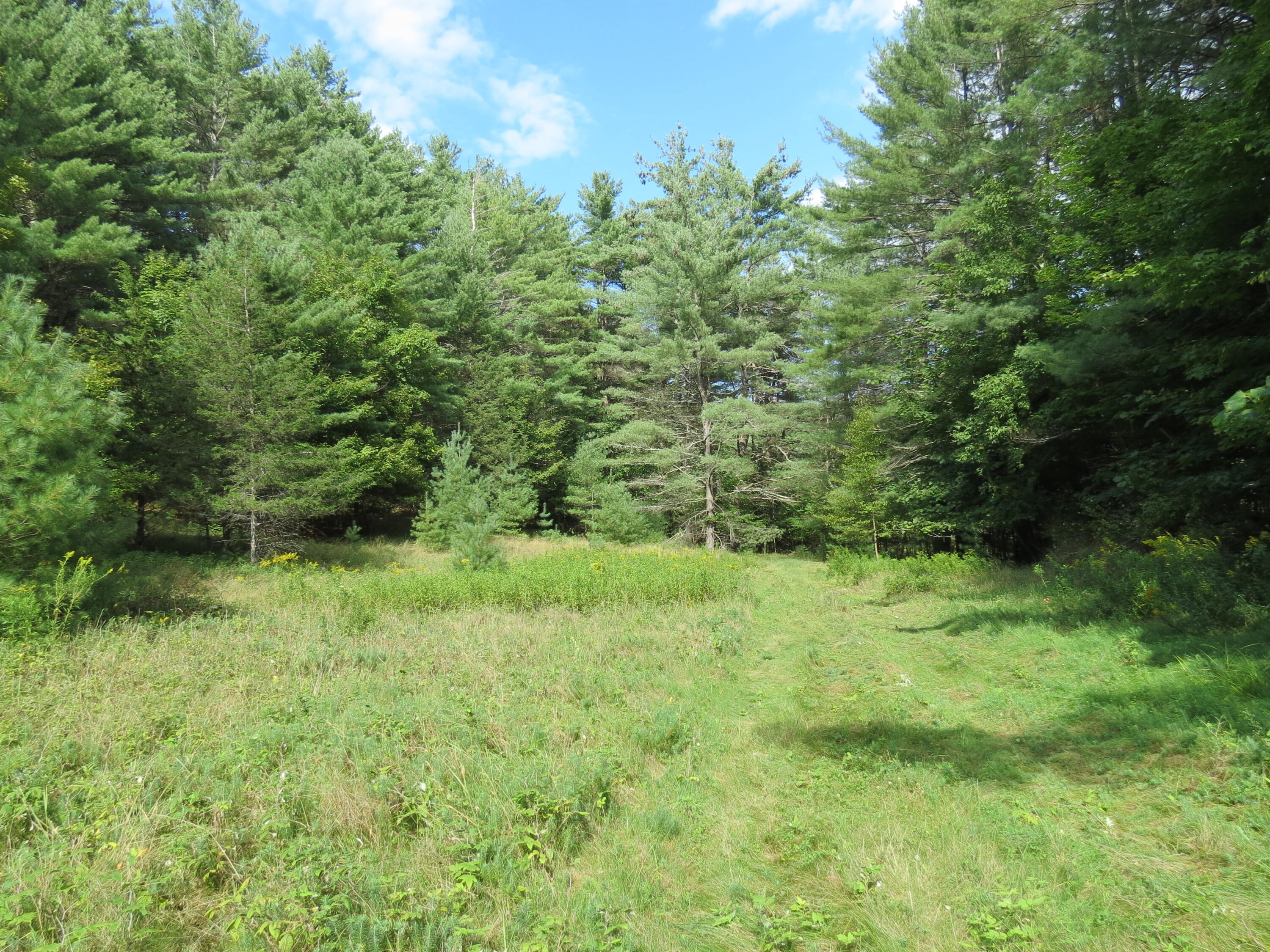 87 Trumbulls Road Jay, NY 12941 - Photo 25 of 38 Gallery Image 25