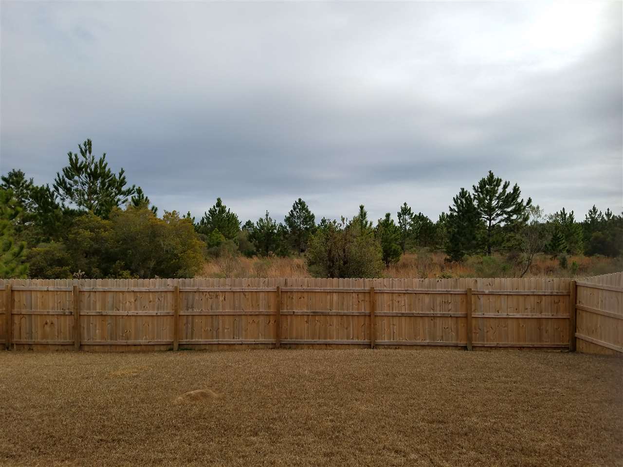 6032 Waterford Drive Foley, AL 36535 - Photo 33 of 38