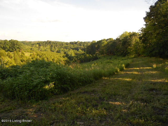 1325 Burgin Road Lawrenceburg, KY 40342 - Photo 12 of 12 DSCN0522