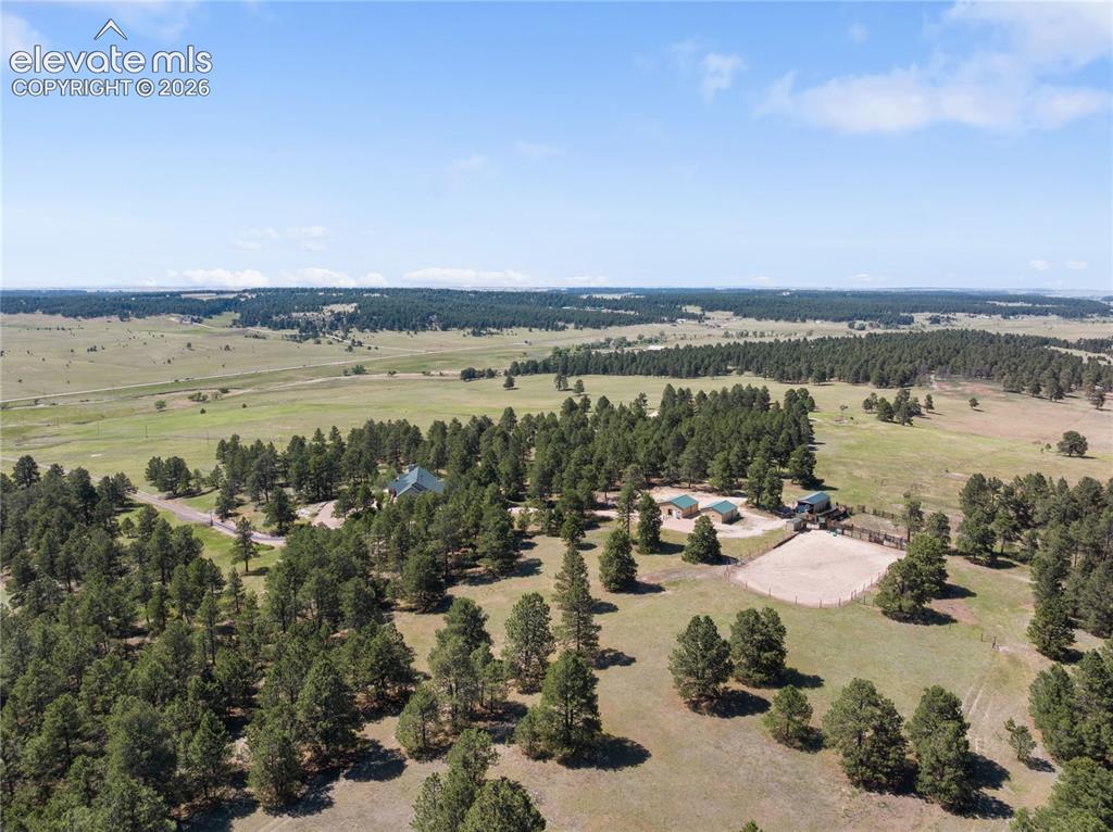 19755 Elbert Road Peyton, CO 80831 - Photo 45 of 48