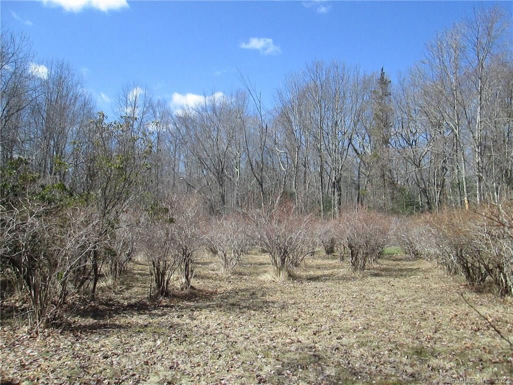 136 James Road Voluntown, CT 06384 - Photo 1 of 1