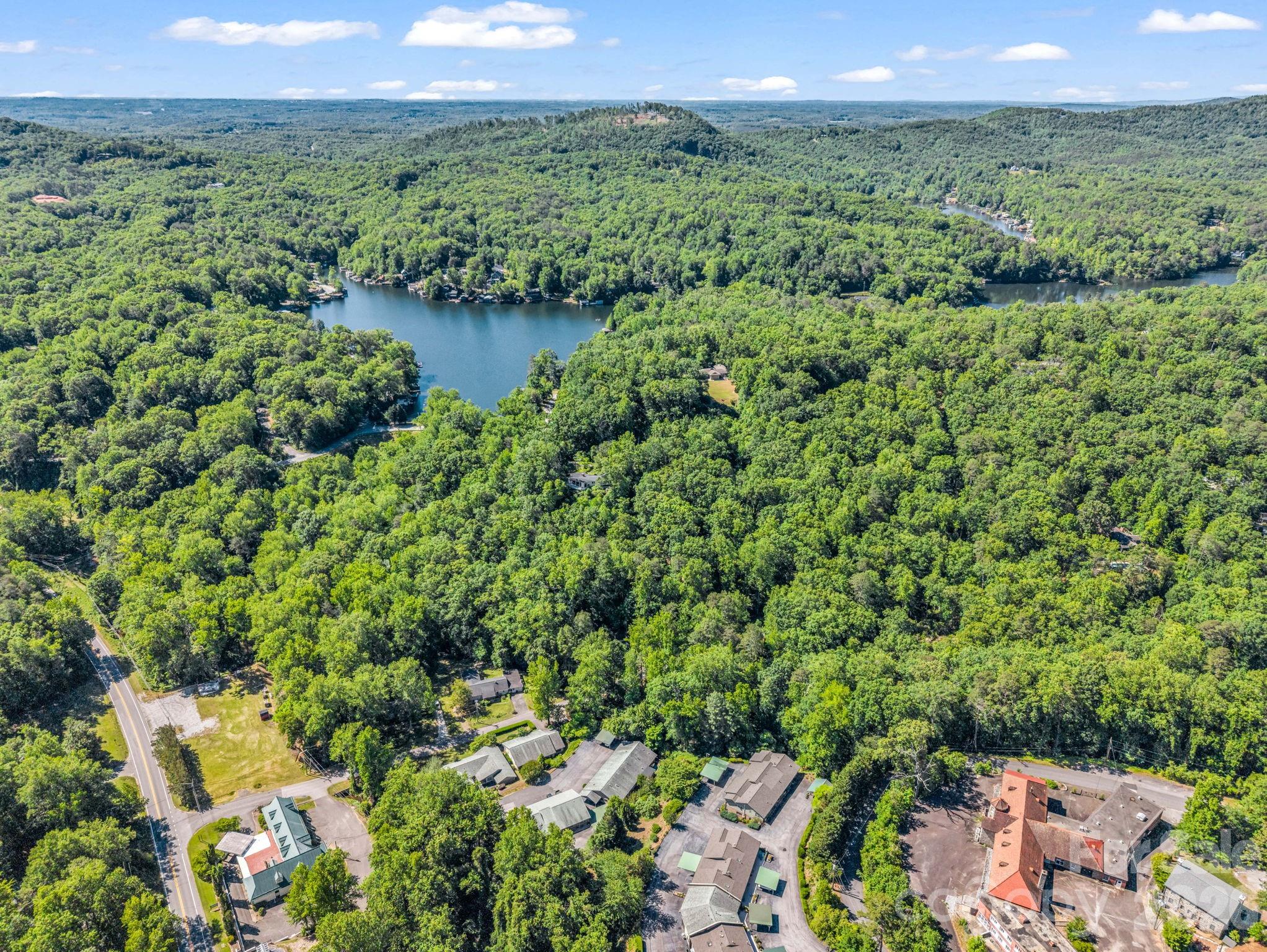 44 Jervey Road, Unit 4C Tryon, NC 28782 - Photo 35 of 35 a view of a lush green forest with a lake