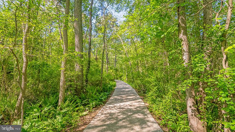 27 Clementon Road East Gibbsboro, NJ 08026 - Photo 10 of 40 a view of a pathway both side of yard