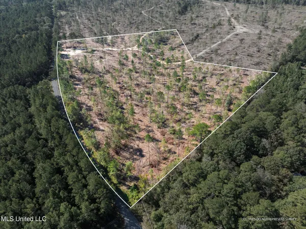 $79,900 | 16.36 Noel Townsend Road, Seminary, MS 39479