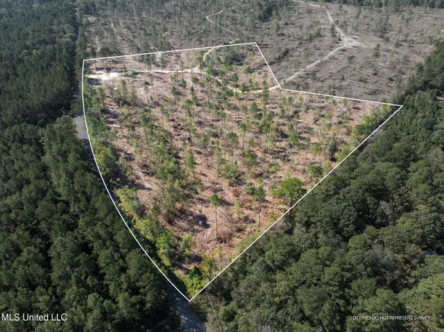 $79,900 | 16.36 Noel Townsend Road, Seminary, MS 39479