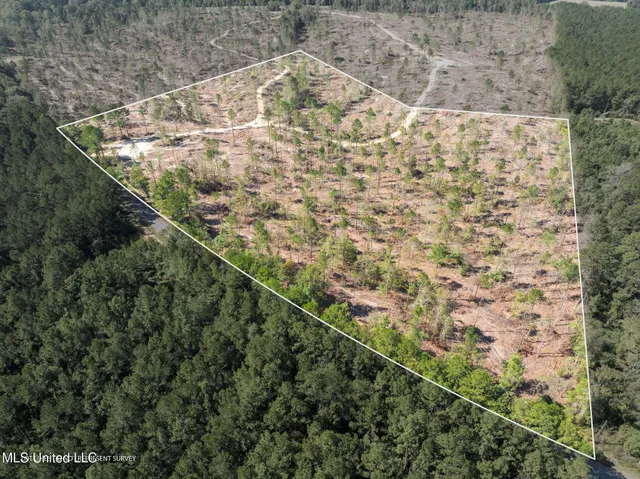 $79,900 | 16.36 Noel Townsend Road, Seminary, MS 39479