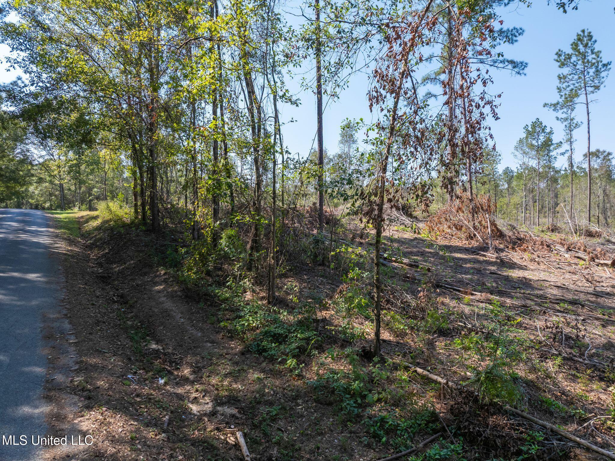 16.36 Noel Townsend Road Seminary, MS 39479 - Photo 4 of 9 Shirley_Sanford_Rd_16_36_AC-4