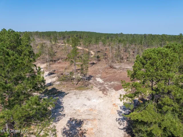 $79,900 | 16.36 Noel Townsend Road, Seminary, MS 39479