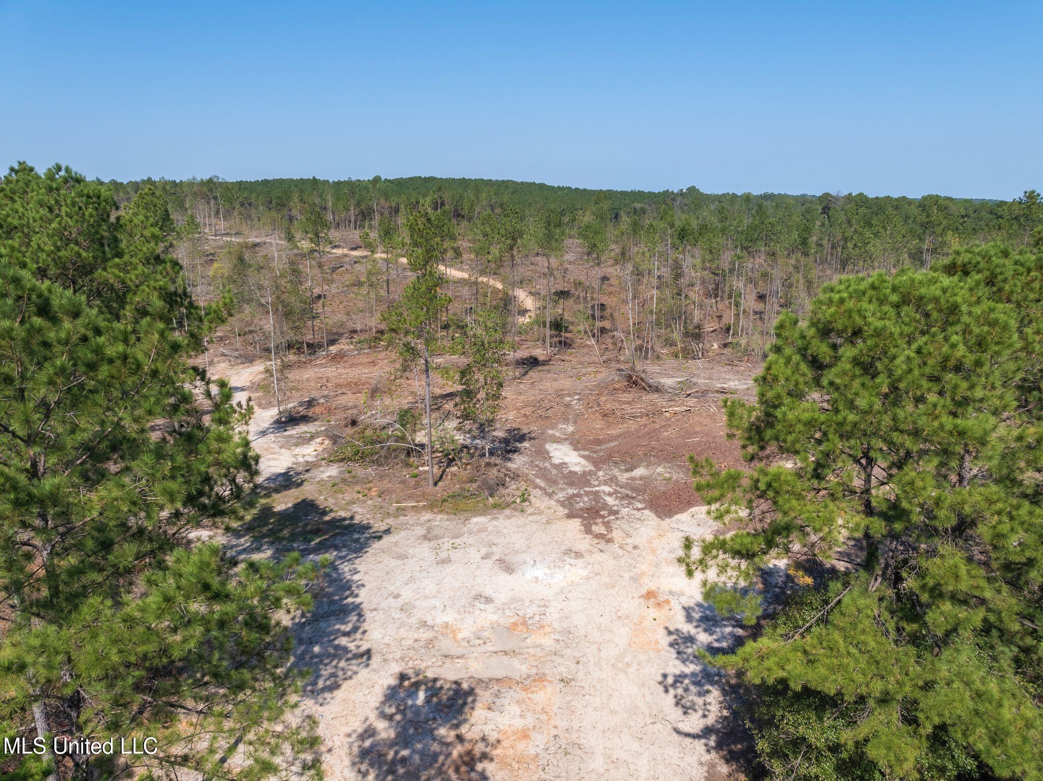 16.36 Noel Townsend Road Seminary, MS 39479 - Photo 5 of 9 Shirley_Sanford_Rd_16_36_AC-5