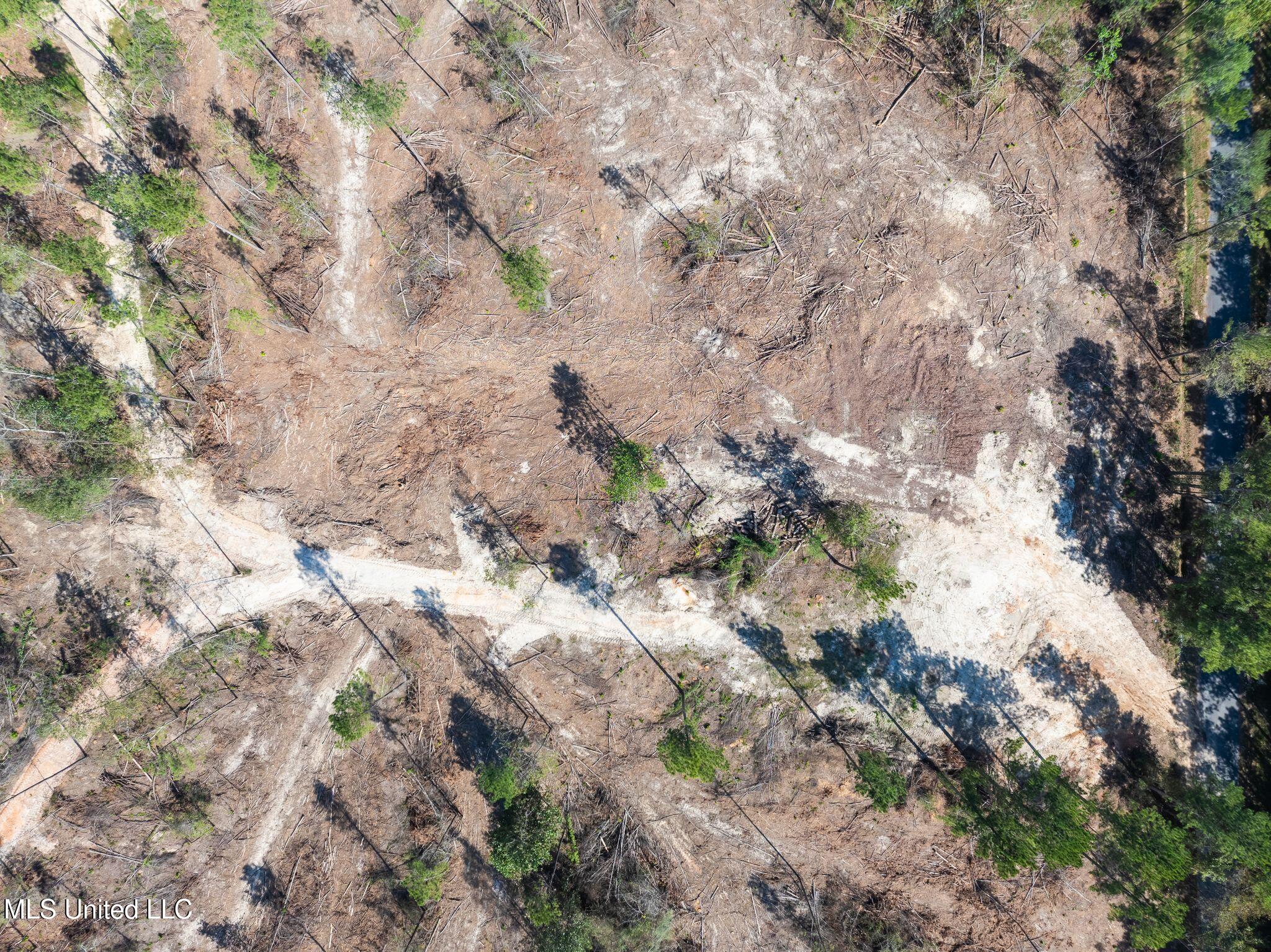 16.36 Noel Townsend Road Seminary, MS 39479 - Photo 6 of 9 Shirley_Sanford_Rd_16_36_AC-6