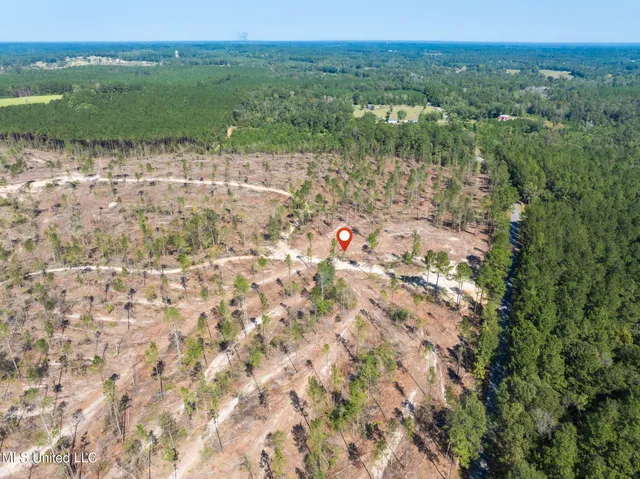 $79,900 | 16.36 Noel Townsend Road, Seminary, MS 39479