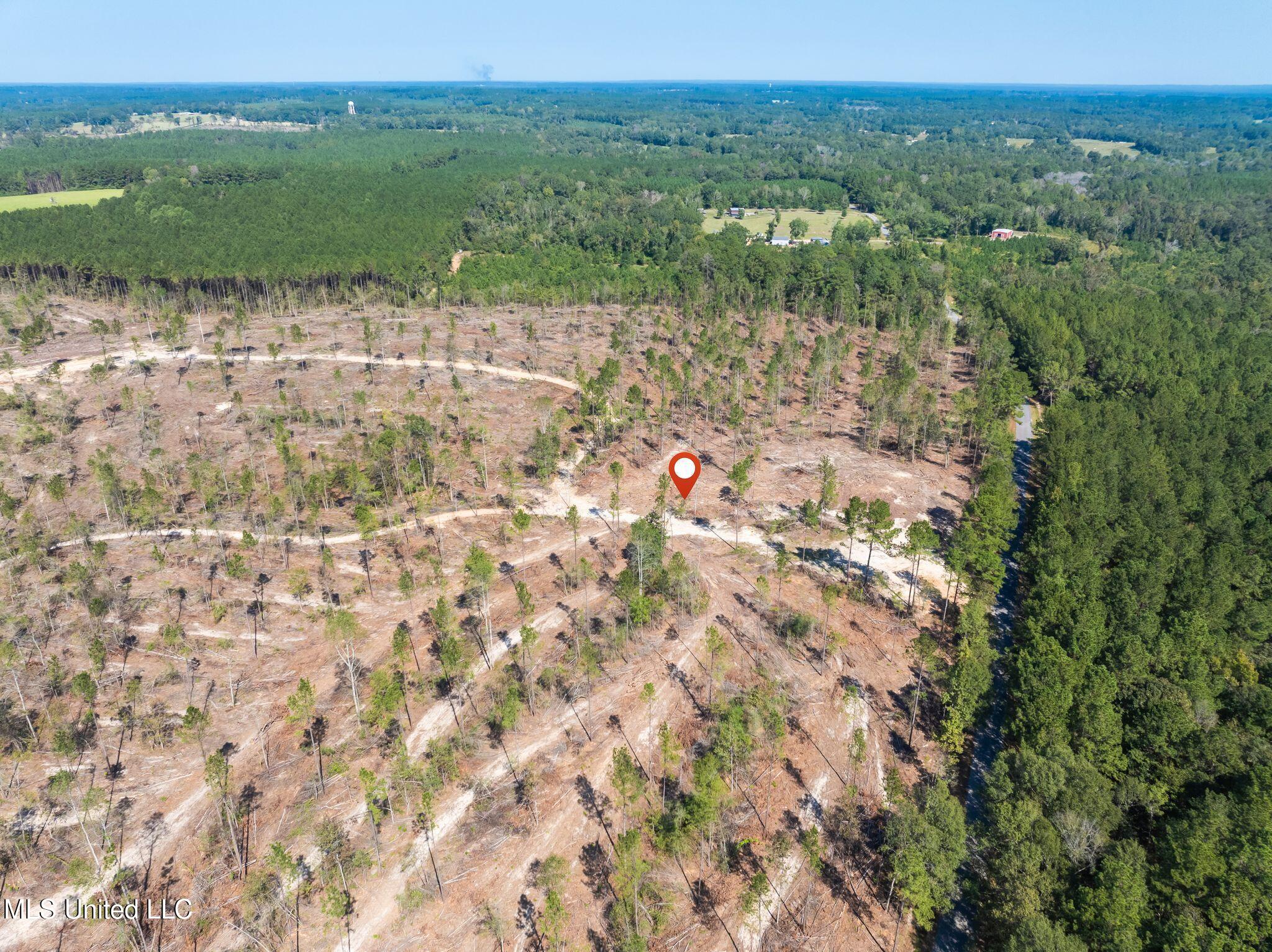 16.36 Noel Townsend Road Seminary, MS 39479 - Photo 7 of 9 Shirley_Sanford_Rd_16_36_AC-7