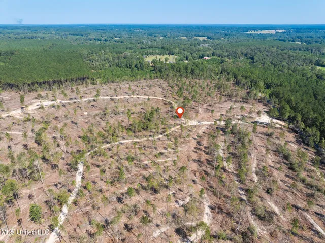 $79,900 | 16.36 Noel Townsend Road, Seminary, MS 39479