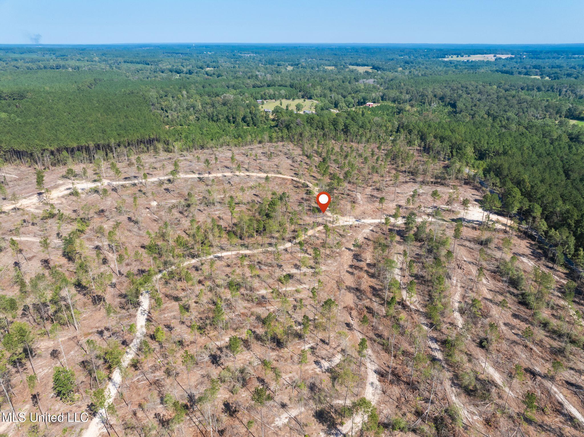 16.36 Noel Townsend Road Seminary, MS 39479 - Photo 8 of 9 Shirley_Sanford_Rd_16_36_AC-8