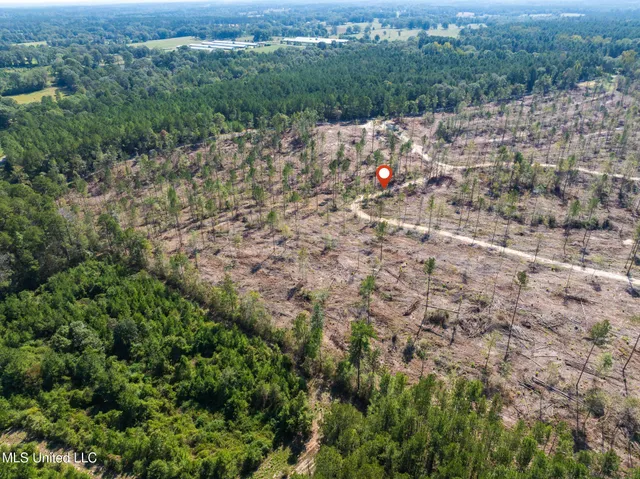 $79,900 | 16.36 Noel Townsend Road, Seminary, MS 39479