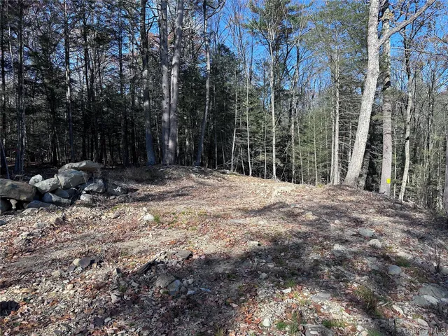 a view of outdoor space with trees